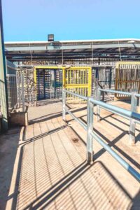 Jenin Checkpoint Palestine: Comprehensive Travel Guide 2025 & 11-day Itinerary – Broken ...